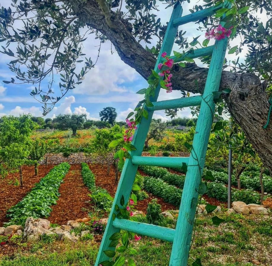 Trulli Pax Animi Villa Martina Franca Dış mekan fotoğraf